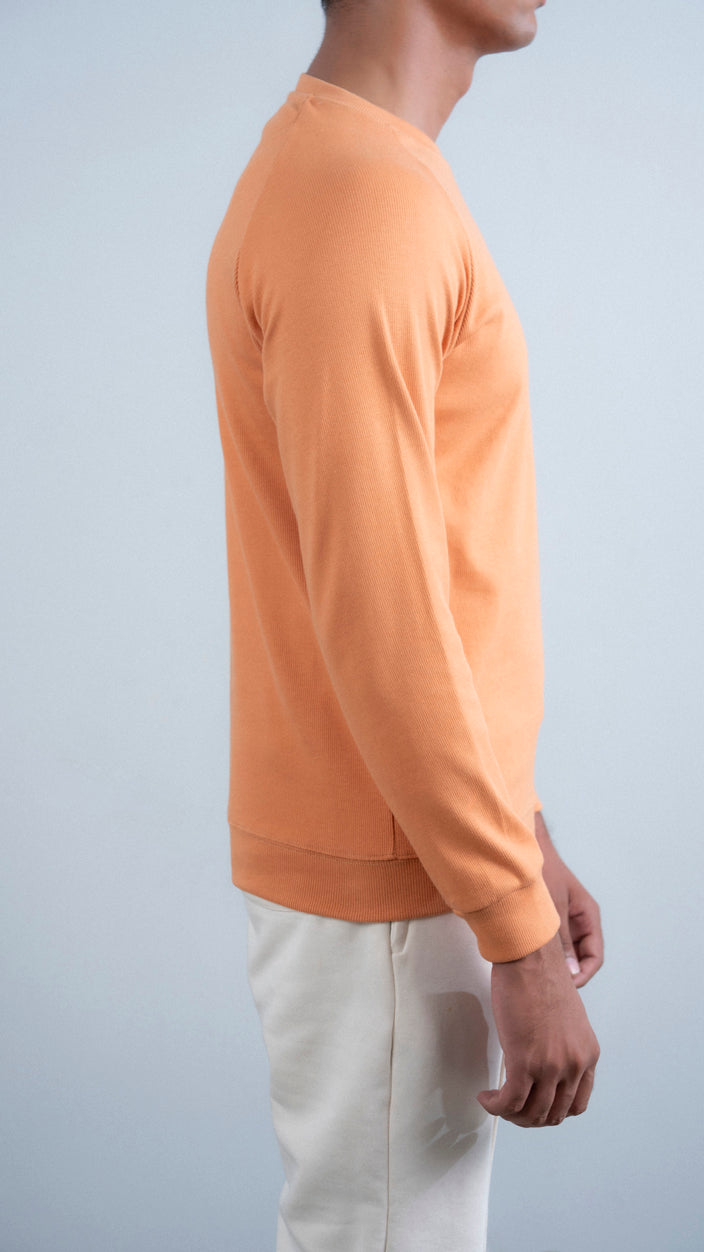 Raglan Sleeves Ribbed Sweat